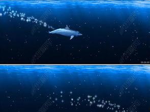 海洋之眼爆料视频最新  第1张